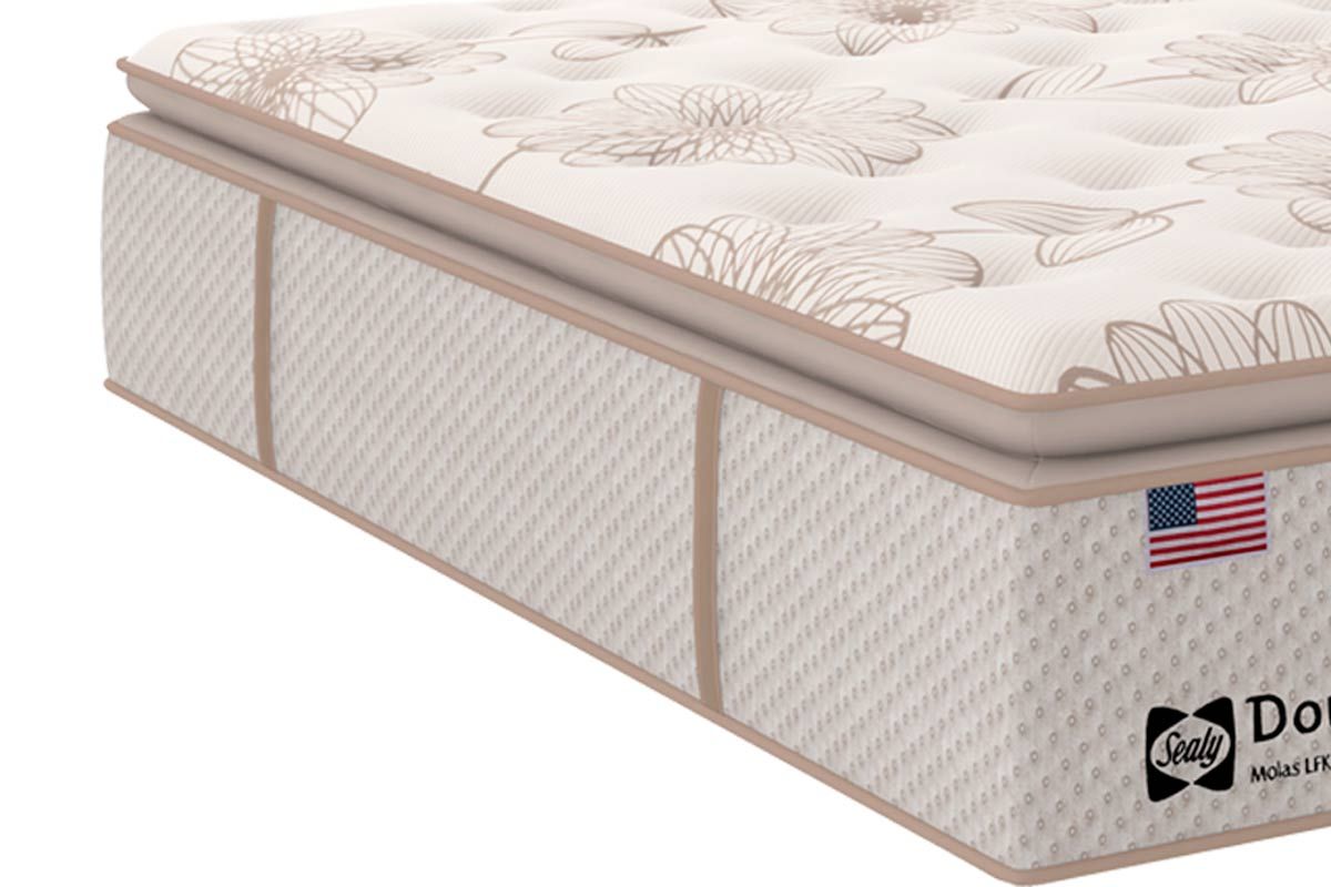 Cama Box CRC +Colchão Molas Doux Confort Sealy
