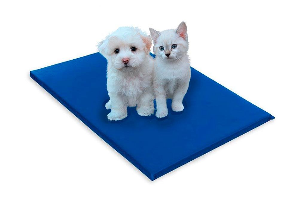 Cama Colchão p/ Cachorro e Gato PET Napa LuckspumaMédio - 50x80x4 Cama Colchão p/ Cachorro e Gato PET Napa LuckspumaMédio - 50x80x4