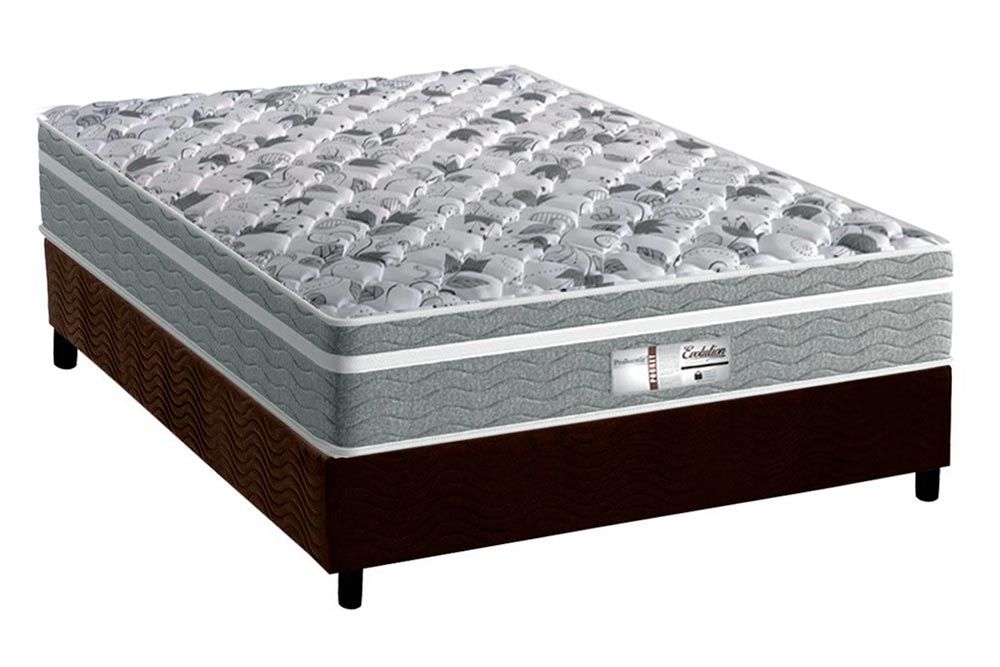 Cama Box CRC +Colchão Molas Evolution Probel