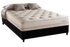 Cama Box Filhão +Colchão Molas Scotland Herval