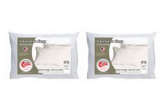 Travesseiro Látex Kit 2un Sleep Flocos Anatômico Castor