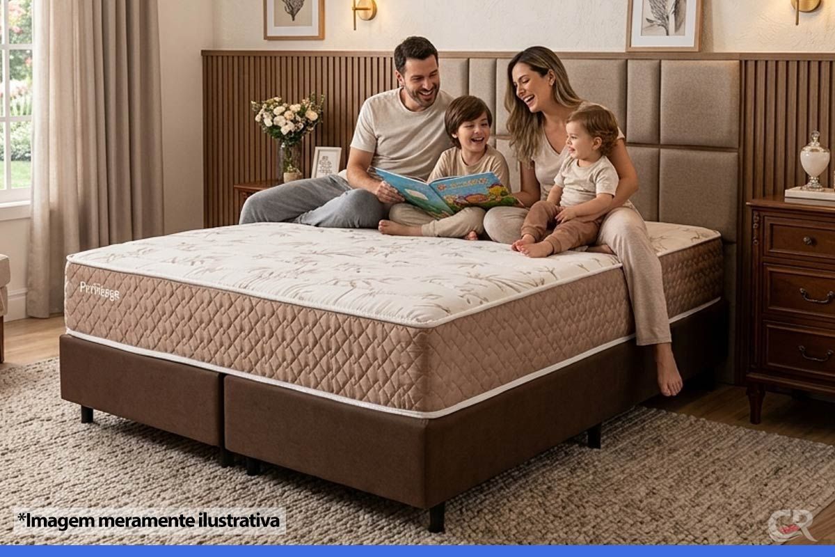 Cama Box CRC +Colchão Molas Privilege Paropas