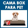  - Cama Box