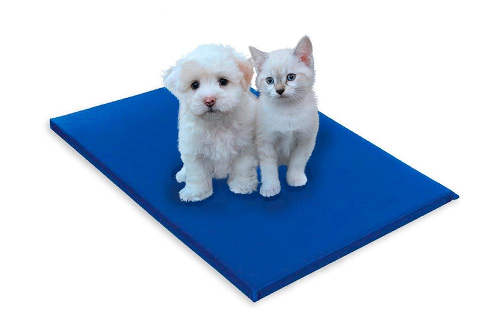 Cama Colchão p/ Cachorro e Gato PET Napa Luckspuma