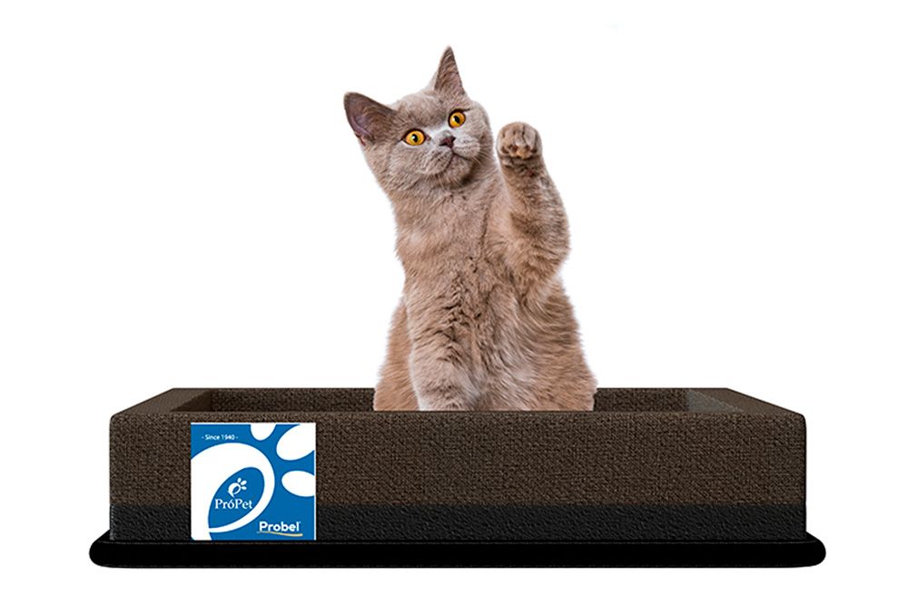 Cama Colchão p/ Cachorro e Gato Pró PET Foam Probel